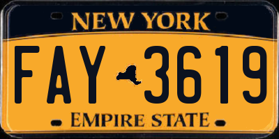 NY license plate FAY3619