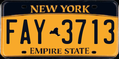 NY license plate FAY3713