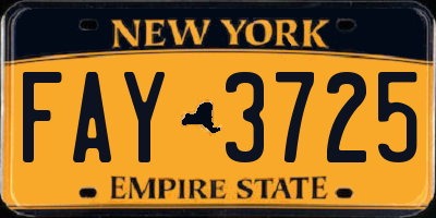 NY license plate FAY3725