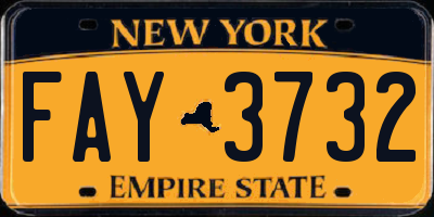 NY license plate FAY3732