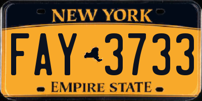 NY license plate FAY3733