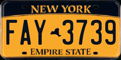 NY license plate FAY3739