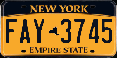 NY license plate FAY3745