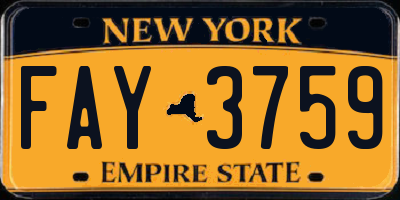 NY license plate FAY3759