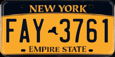 NY license plate FAY3761