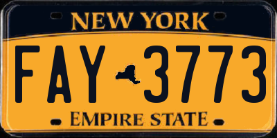 NY license plate FAY3773