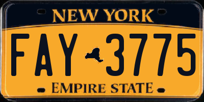 NY license plate FAY3775