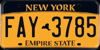 NY license plate FAY3785