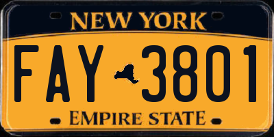 NY license plate FAY3801