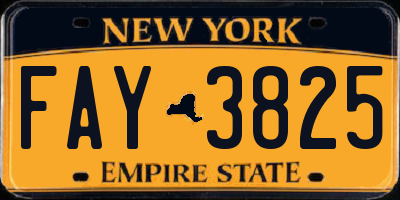 NY license plate FAY3825