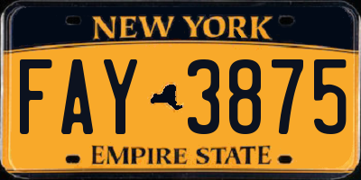 NY license plate FAY3875