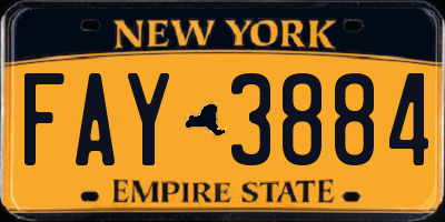 NY license plate FAY3884