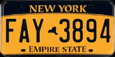 NY license plate FAY3894