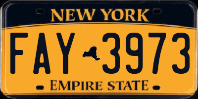 NY license plate FAY3973