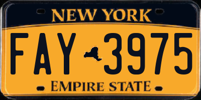 NY license plate FAY3975