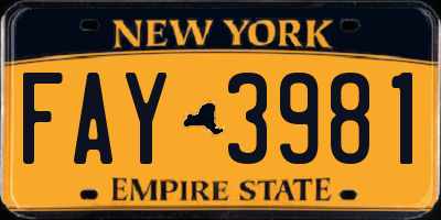 NY license plate FAY3981