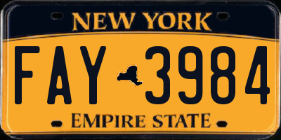 NY license plate FAY3984