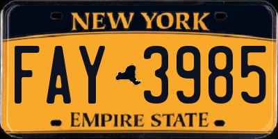 NY license plate FAY3985