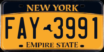 NY license plate FAY3991