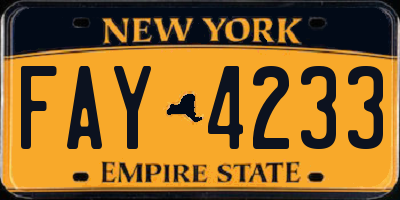 NY license plate FAY4233