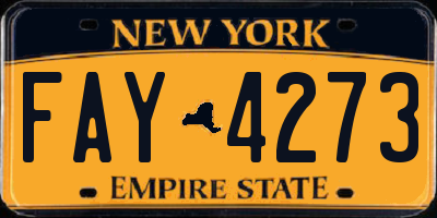 NY license plate FAY4273