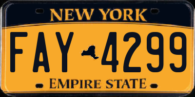 NY license plate FAY4299