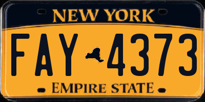 NY license plate FAY4373