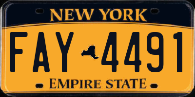 NY license plate FAY4491