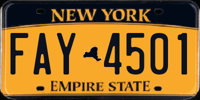 NY license plate FAY4501