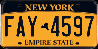 NY license plate FAY4597