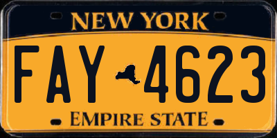 NY license plate FAY4623