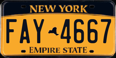 NY license plate FAY4667