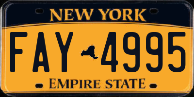 NY license plate FAY4995