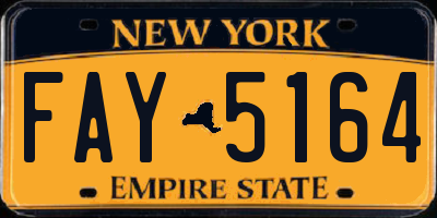 NY license plate FAY5164