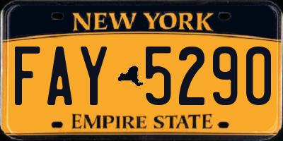 NY license plate FAY5290