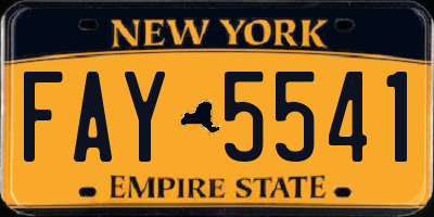 NY license plate FAY5541