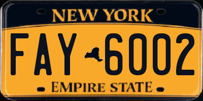 NY license plate FAY6002