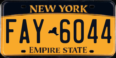 NY license plate FAY6044