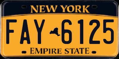 NY license plate FAY6125