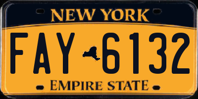 NY license plate FAY6132