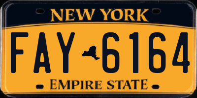 NY license plate FAY6164