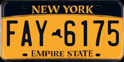 NY license plate FAY6175