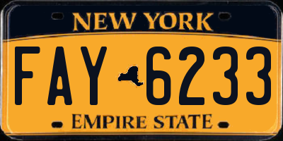 NY license plate FAY6233
