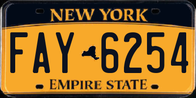 NY license plate FAY6254