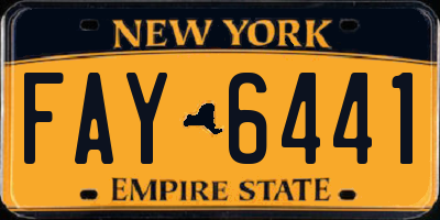 NY license plate FAY6441