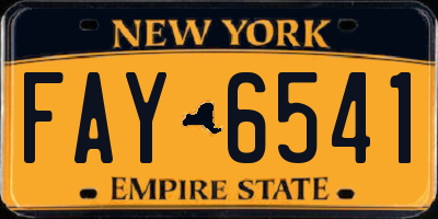 NY license plate FAY6541