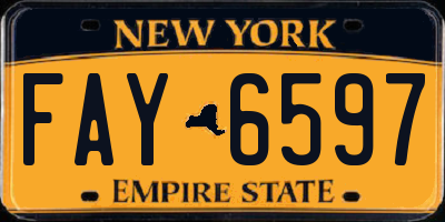 NY license plate FAY6597