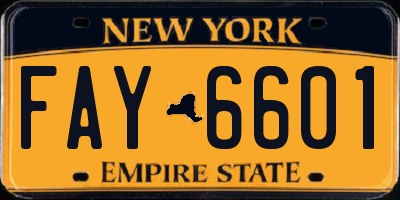 NY license plate FAY6601