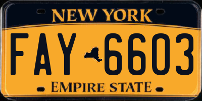 NY license plate FAY6603