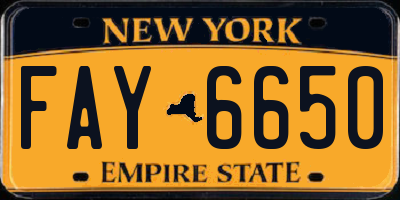 NY license plate FAY6650